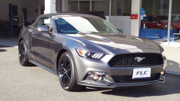E様／MUSTANG