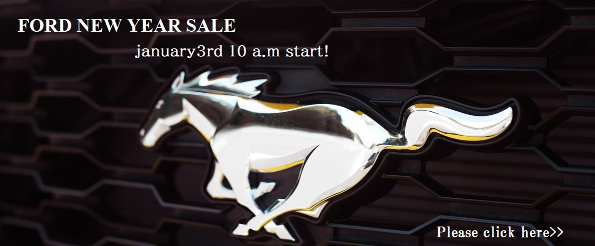 FORD NEW YEAR SALE january 3rd 10 a.m start!